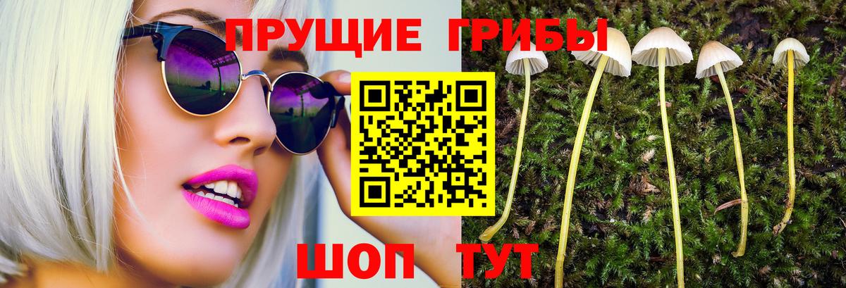 Псилоцибиновые грибы ЛСД Зеленодольск